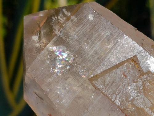 Polished On One Side Large Smokey Quartz Crystals x 3 From Angola - Toprock Gemstones and Minerals 
