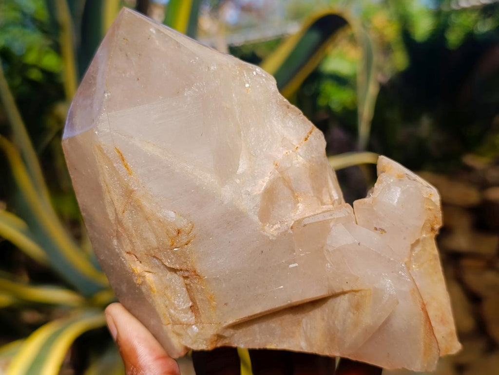 Polished On One Side Large Smokey Quartz Crystals x 3 From Angola - Toprock Gemstones and Minerals 