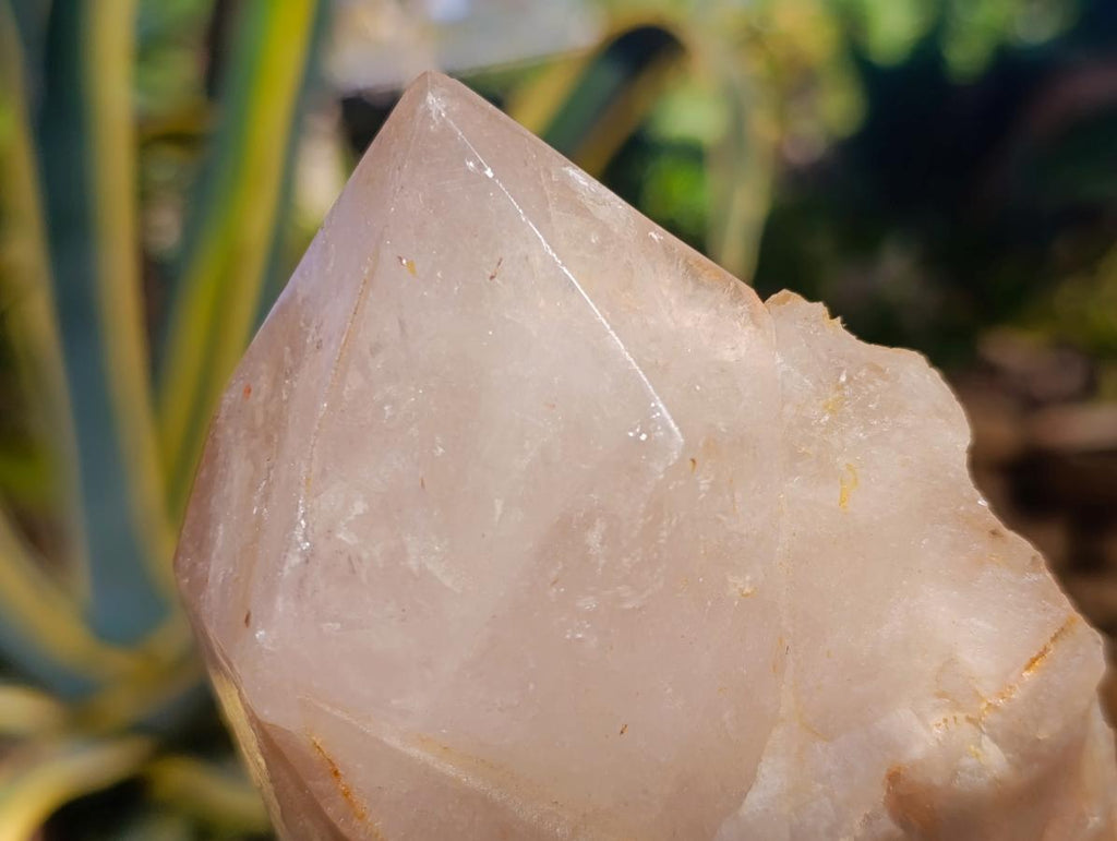 Polished On One Side Large Smokey Quartz Crystals x 3 From Angola - Toprock Gemstones and Minerals 
