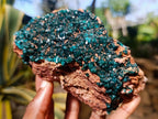 Natural Dioptase on Dolomite Specimen x 1 From Likasi, Congo - Toprock Gemstones and Minerals 