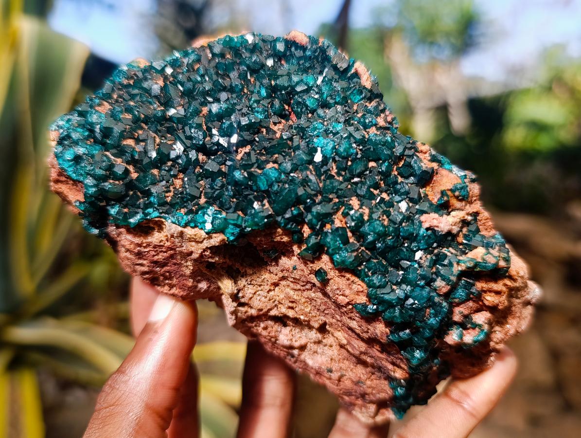 Natural Dioptase on Dolomite Specimen x 1 From Likasi, Congo - Toprock Gemstones and Minerals 