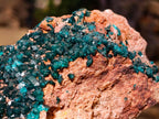 Natural Dioptase on Dolomite Specimen x 1 From Likasi, Congo - Toprock Gemstones and Minerals 