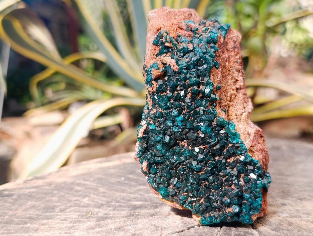 Natural Dioptase on Dolomite Specimen x 1 From Likasi, Congo - Toprock Gemstones and Minerals 