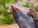 Polished Strawberry Agate Display Crystal Points x 3 From Mozambique - Toprock Gemstones and Minerals 