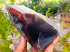Polished Strawberry Agate Display Crystal Points x 3 From Mozambique - Toprock Gemstones and Minerals 