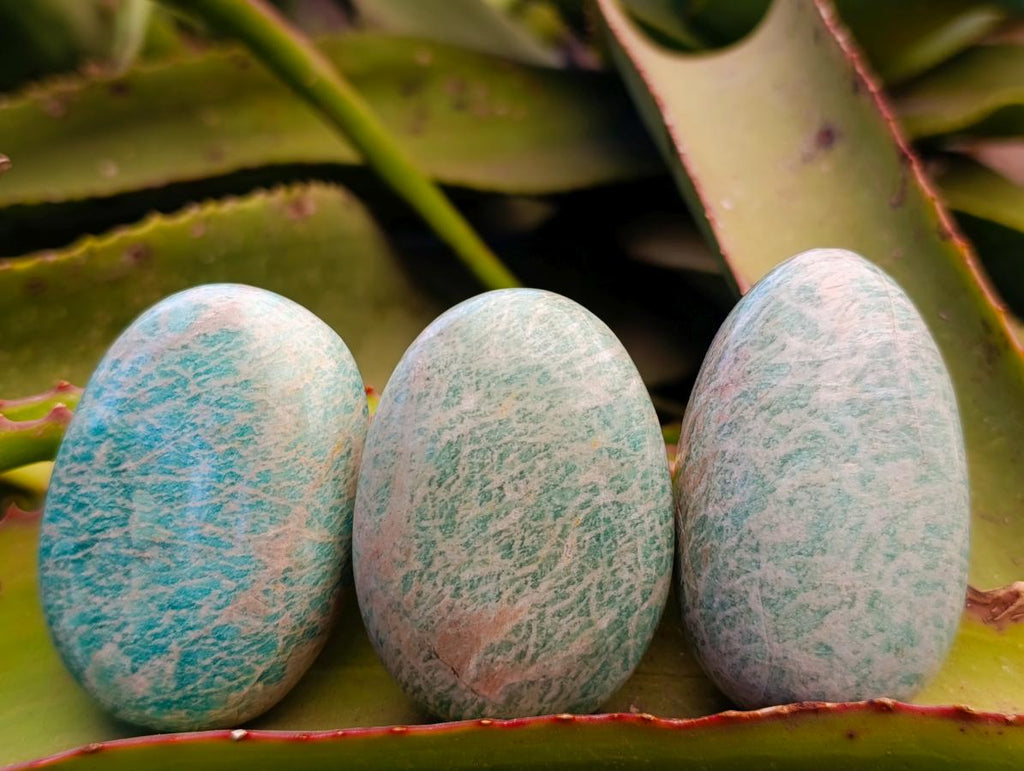 Polished Amazonite Free Forms x 12 From Zimbabwe - Toprock Gemstones and Minerals 