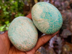 Polished Amazonite Free Forms x 12 From Zimbabwe - Toprock Gemstones and Minerals 