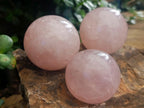 Polished Gemmy Star Rose Quartz Spheres x 6 From Madagascar - Toprock Gemstones and Minerals 