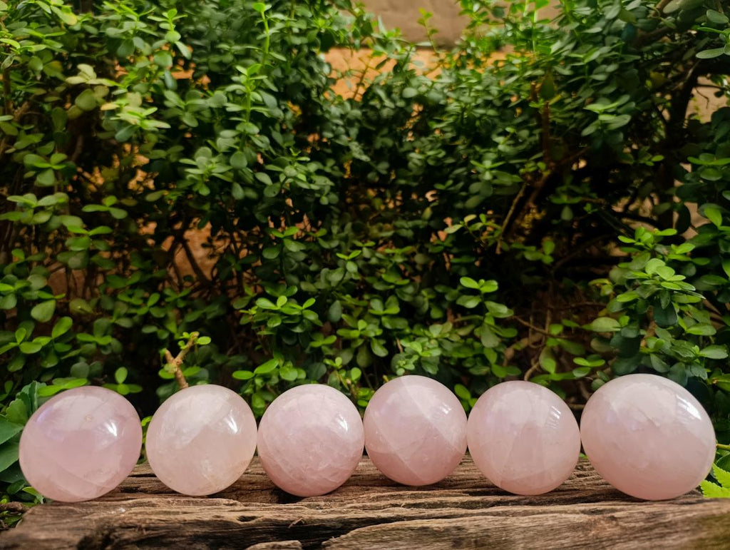 Polished Gemmy Star Rose Quartz Spheres x 6 From Madagascar - Toprock Gemstones and Minerals 