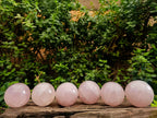 Polished Gemmy Star Rose Quartz Spheres x 6 From Madagascar - Toprock Gemstones and Minerals 