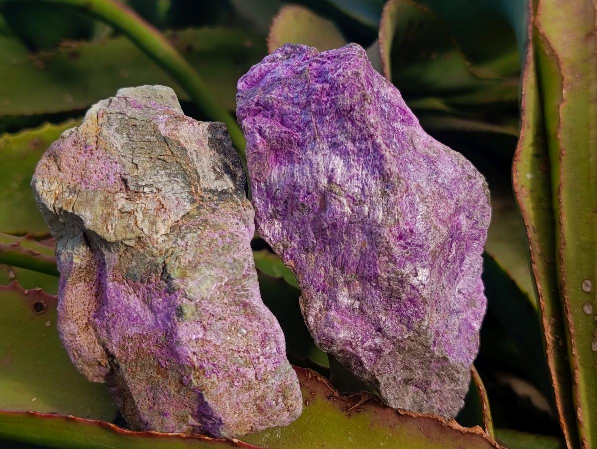Natural Cobbed Stichtite Specimens x 12 From Barberton, South Africa - Toprock Gemstones and Minerals 