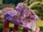 Natural Cobbed Stichtite Specimens x 12 From Barberton, South Africa - Toprock Gemstones and Minerals 