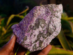 Natural Cobbed Stichtite Specimens x 12 From Barberton, South Africa - Toprock Gemstones and Minerals 
