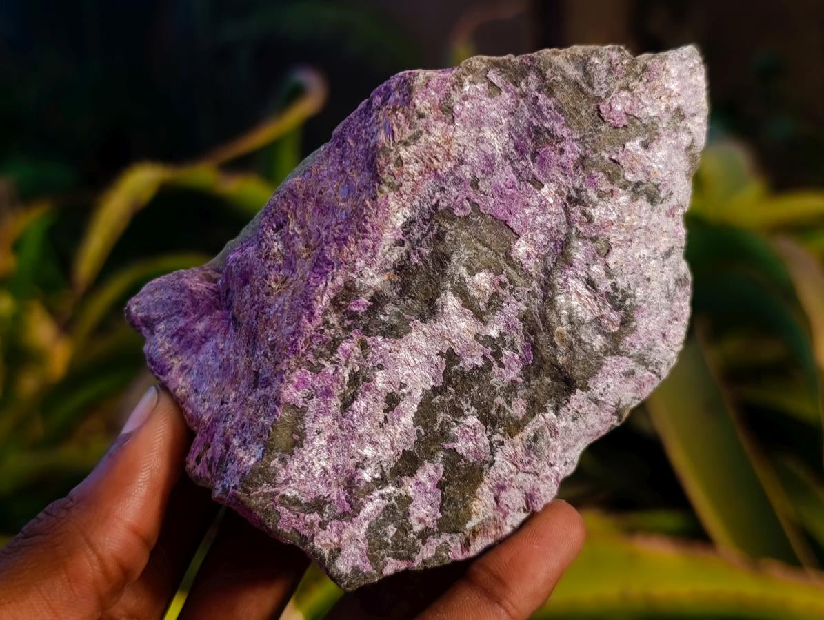 Natural Cobbed Stichtite Specimens x 12 From Barberton, South Africa - Toprock Gemstones and Minerals 