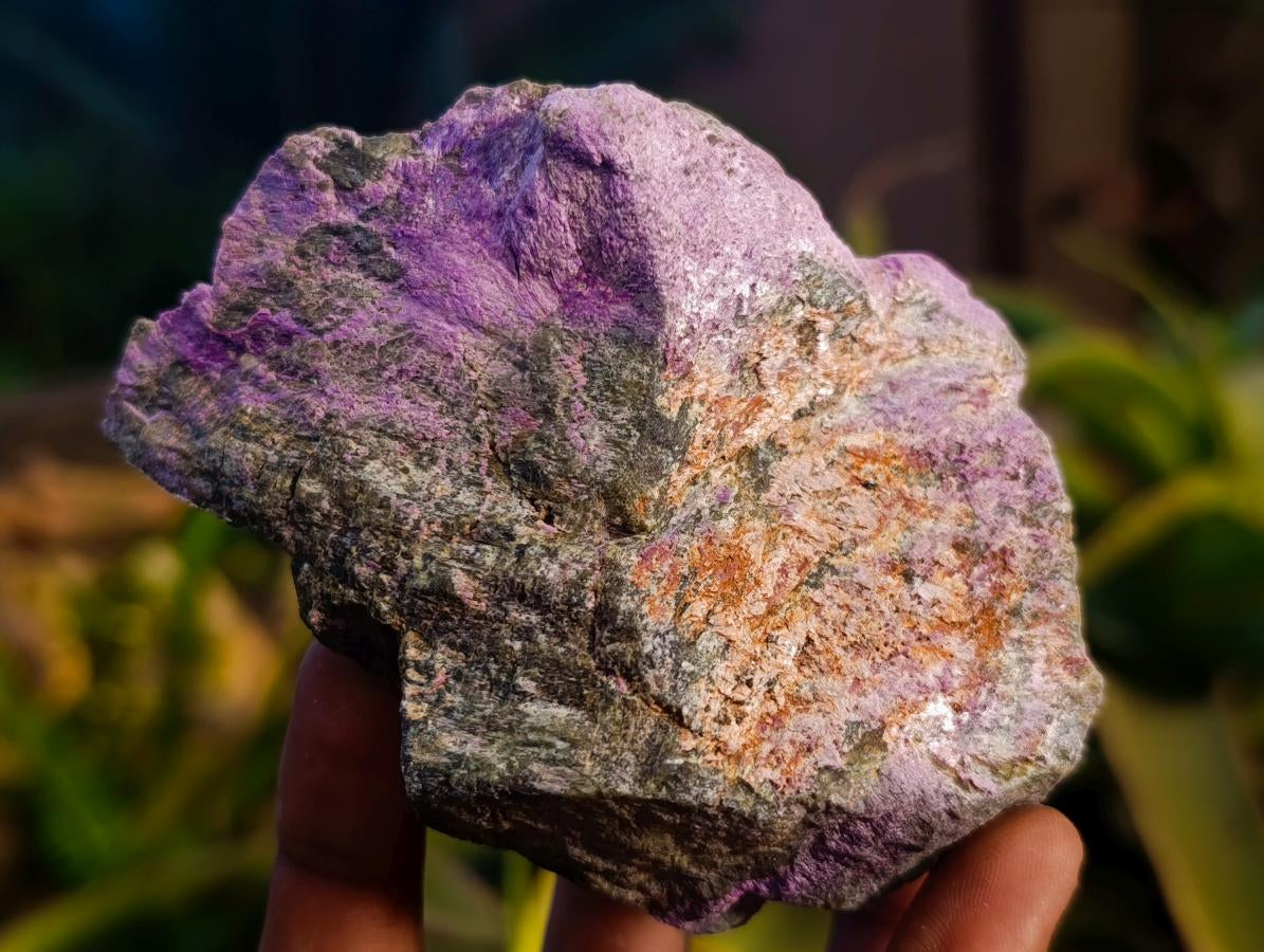 Natural Cobbed Stichtite Specimens x 12 From Barberton, South Africa - Toprock Gemstones and Minerals 