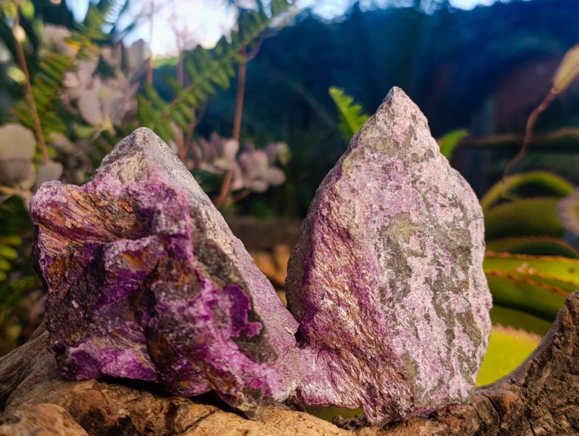 Natural Cobbed Stichtite Specimens x 12 From Barberton, South Africa - Toprock Gemstones and Minerals 