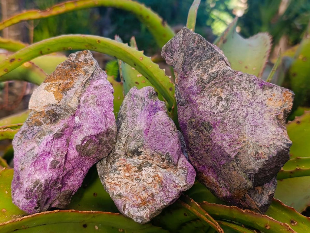 Natural Cobbed Stichtite Specimens x 12 From Barberton, South Africa - Toprock Gemstones and Minerals 
