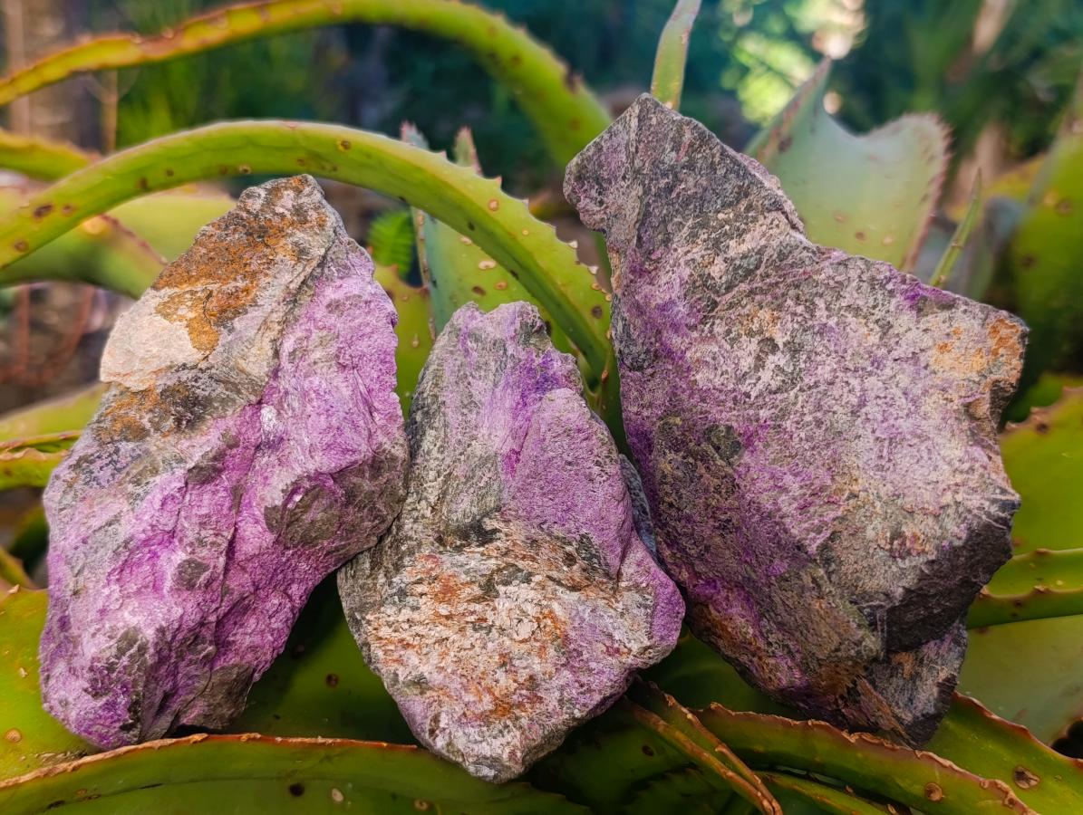 Natural Cobbed Stichtite Specimens x 12 From Barberton, South Africa - Toprock Gemstones and Minerals 