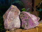 Natural Cobbed Stichtite Specimens x 12 From Barberton, South Africa - Toprock Gemstones and Minerals 