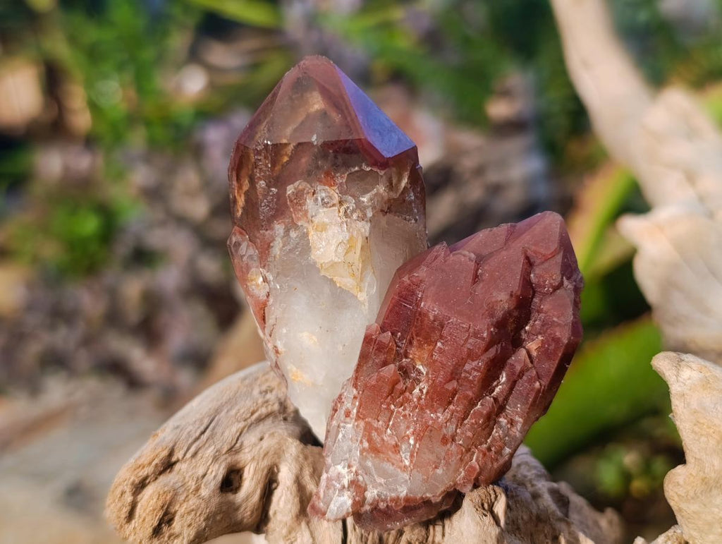 Natural Red Hematoid Quartz Crystals x 24 From Karoi, Zimbabwe - Toprock Gemstones and Minerals 