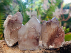 Natural Red Hematoid Quartz Crystals x 24 From Karoi, Zimbabwe - Toprock Gemstones and Minerals 