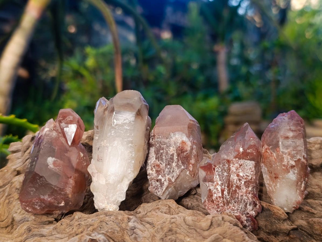 Natural Red Hematoid Quartz Crystals x 24 From Karoi, Zimbabwe - Toprock Gemstones and Minerals 