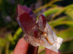 Natural Red Hematoid Quartz Crystals x 24 From Karoi, Zimbabwe - Toprock Gemstones and Minerals 