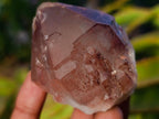 Natural Red Hematoid Quartz Crystals x 24 From Karoi, Zimbabwe - Toprock Gemstones and Minerals 