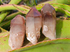 Natural Red Hematoid Quartz Crystals x 24 From Karoi, Zimbabwe - Toprock Gemstones and Minerals 