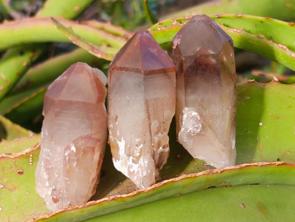 Natural Red Hematoid Quartz Crystals x 24 From Karoi, Zimbabwe - Toprock Gemstones and Minerals 