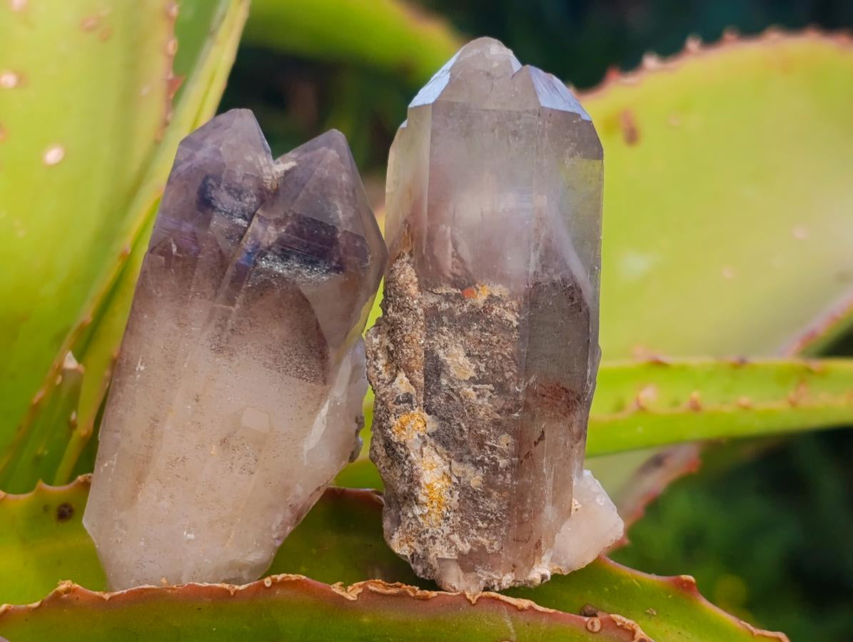 Natural Red Hematoid Quartz Crystals x 24 From Karoi, Zimbabwe - Toprock Gemstones and Minerals 