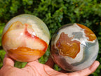 Polished Polychrome Jasper Spheres x 2 From NW Coast, Madagascar - Toprock Gemstones and Minerals 