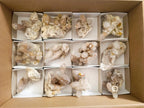 Natural Smokey Spirit Quartz Clusters with Hematoid Coating x 12 From Boekenhouthoek, South Africa - Toprock Gemstones and Minerals 