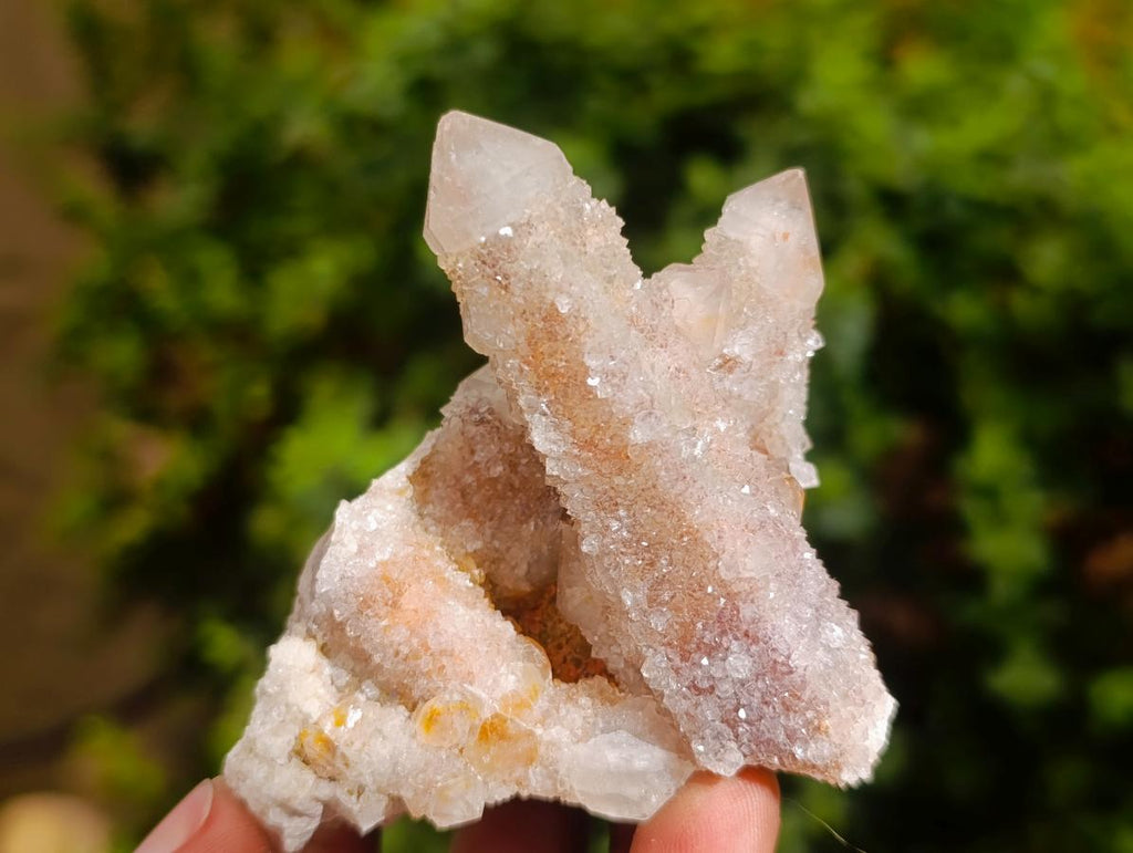Natural Smokey Spirit Quartz Clusters with Hematoid Coating x 12 From Boekenhouthoek, South Africa - Toprock Gemstones and Minerals 