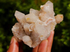 Natural Smokey Spirit Quartz Clusters with Hematoid Coating x 12 From Boekenhouthoek, South Africa - Toprock Gemstones and Minerals 