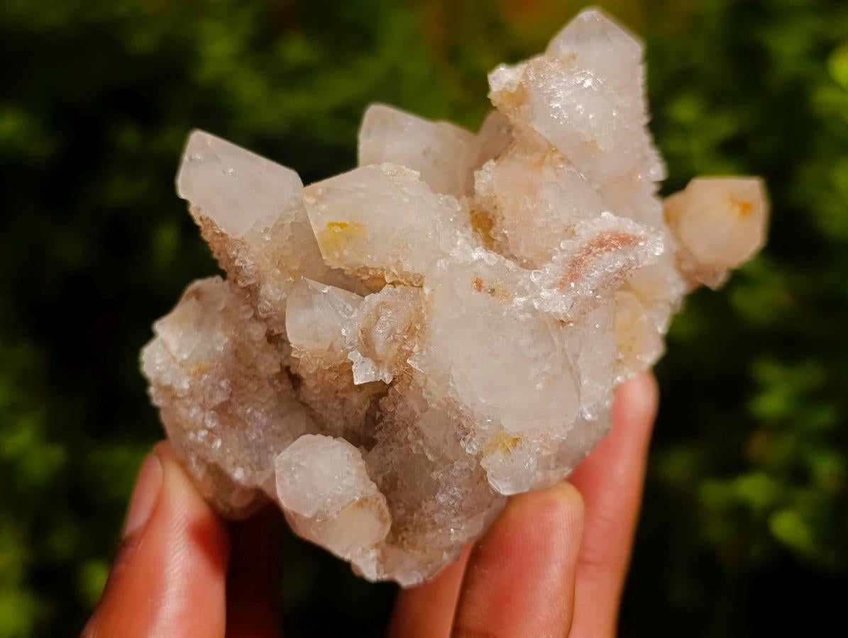 Natural Smokey Spirit Quartz Clusters with Hematoid Coating x 12 From Boekenhouthoek, South Africa - Toprock Gemstones and Minerals 