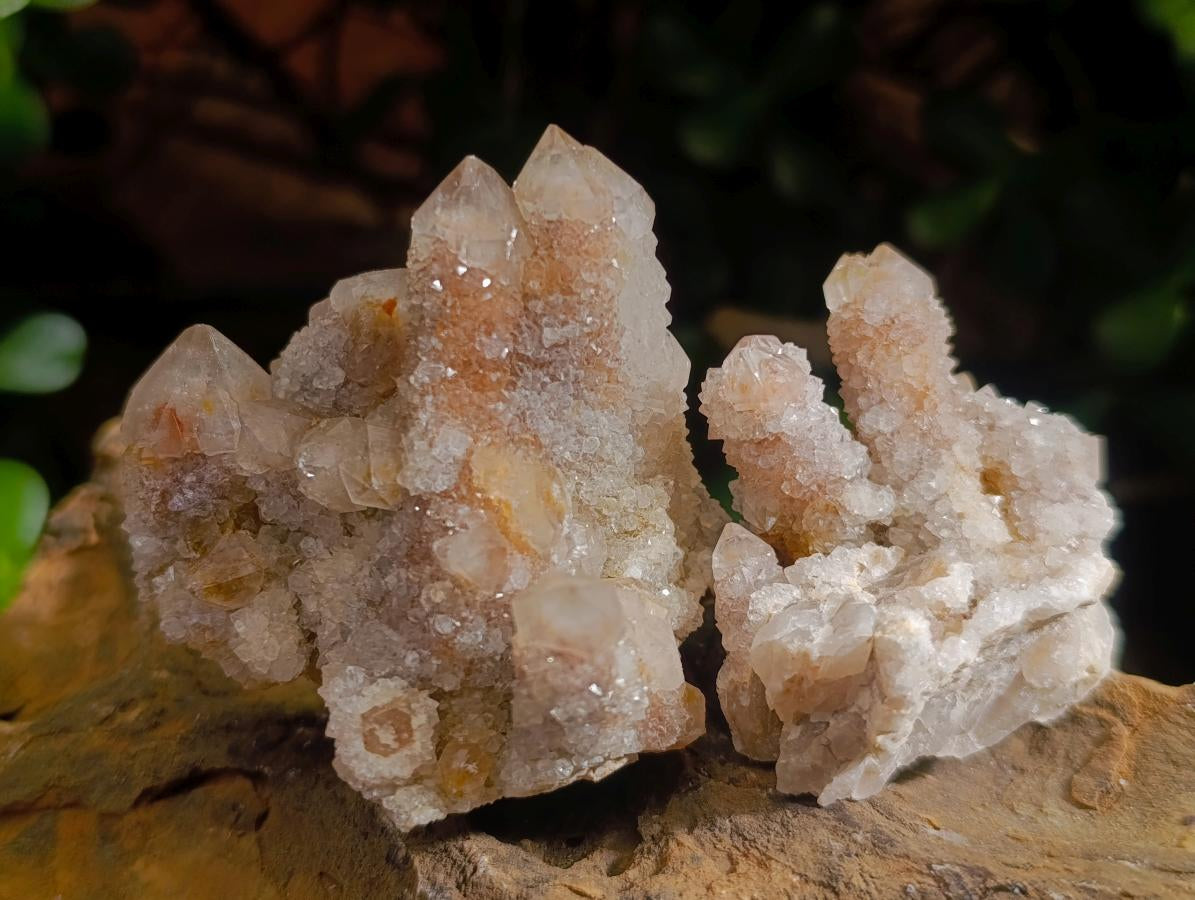Natural Smokey Spirit Quartz Clusters with Hematoid Coating x 12 From Boekenhouthoek, South Africa - Toprock Gemstones and Minerals 