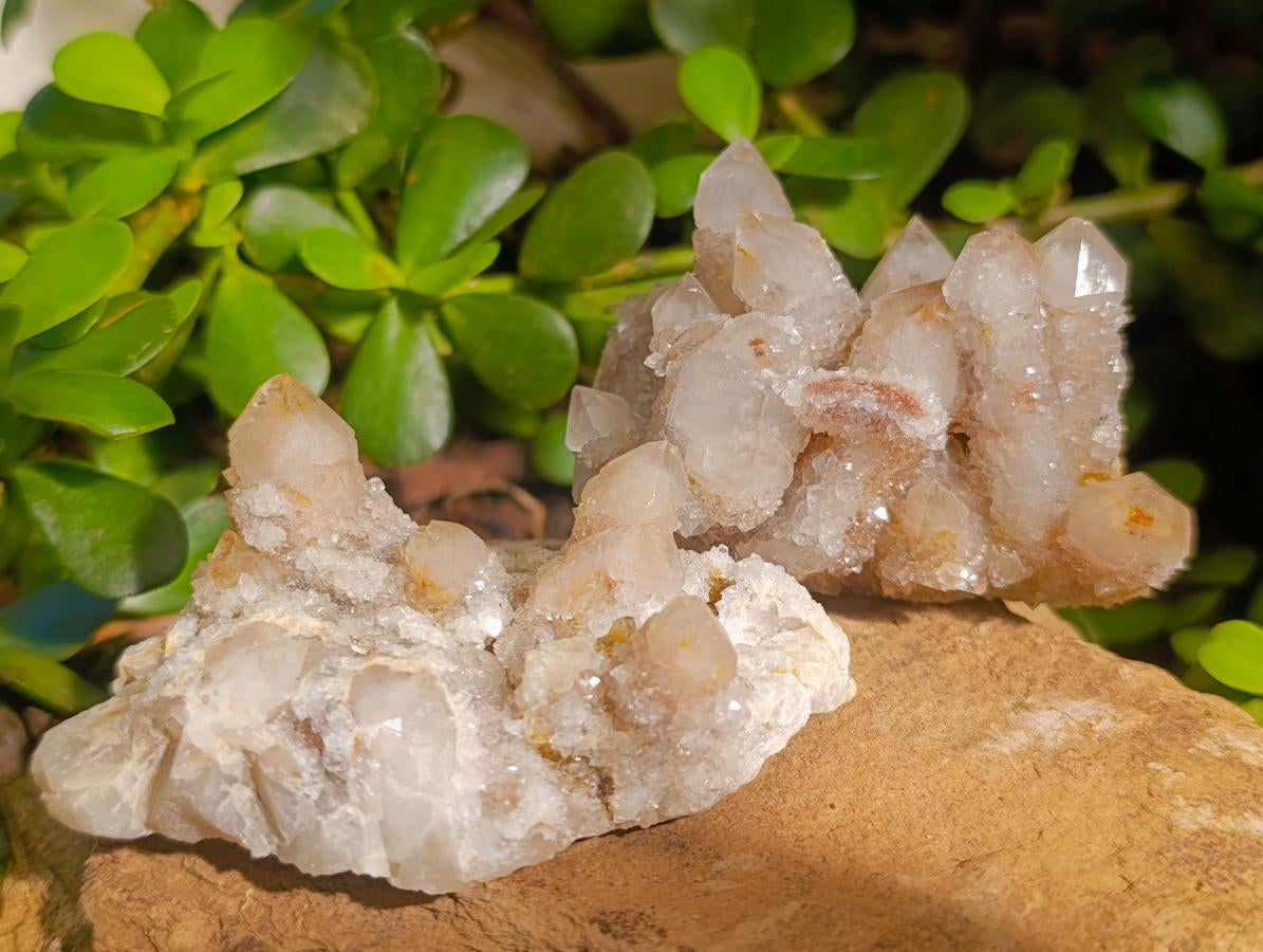 Natural Smokey Spirit Quartz Clusters with Hematoid Coating x 12 From Boekenhouthoek, South Africa - Toprock Gemstones and Minerals 