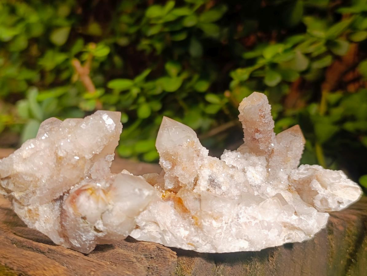 Natural Smokey Spirit Quartz Clusters with Hematoid Coating x 12 From Boekenhouthoek, South Africa - Toprock Gemstones and Minerals 