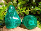 Polished Flower Banded Malachite Free Forms x 6 From Congo - Toprock Gemstones and Minerals 