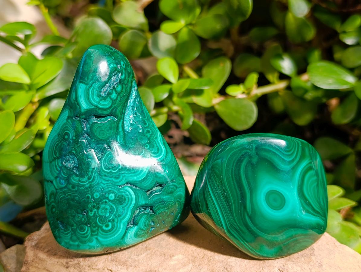 Polished Flower Banded Malachite Free Forms x 6 From Congo - Toprock Gemstones and Minerals 