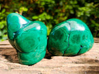Polished Flower Banded Malachite Free Forms x 6 From Congo - Toprock Gemstones and Minerals 