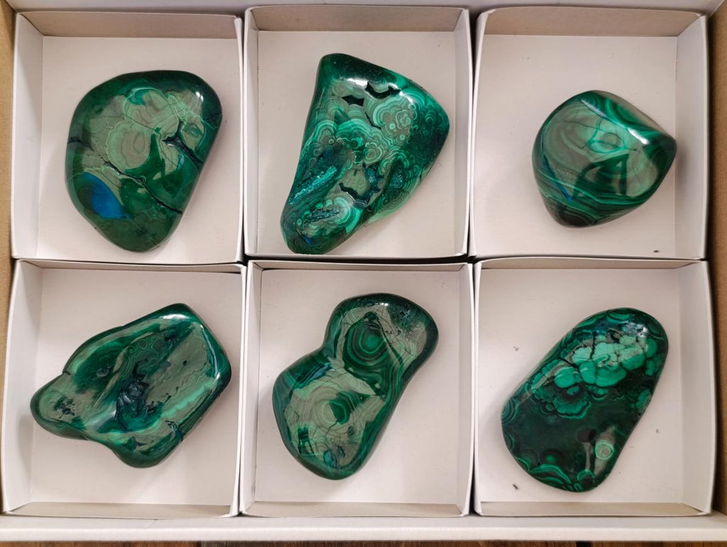 Polished Flower Banded Malachite Free Forms x 6 From Congo - Toprock Gemstones and Minerals 