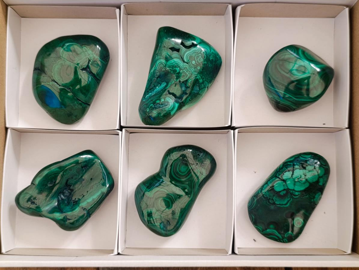 Polished Flower Banded Malachite Free Forms x 6 From Congo - Toprock Gemstones and Minerals 