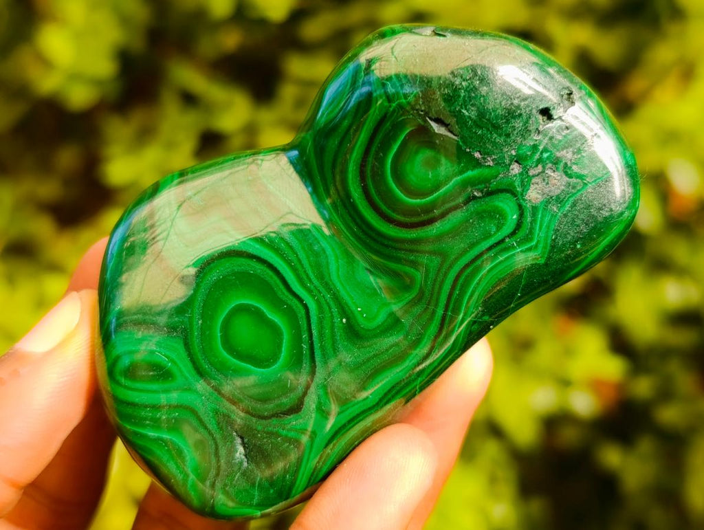 Polished Flower Banded Malachite Free Forms x 6 From Congo - Toprock Gemstones and Minerals 