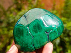 Polished Flower Banded Malachite Free Forms x 6 From Congo - Toprock Gemstones and Minerals 