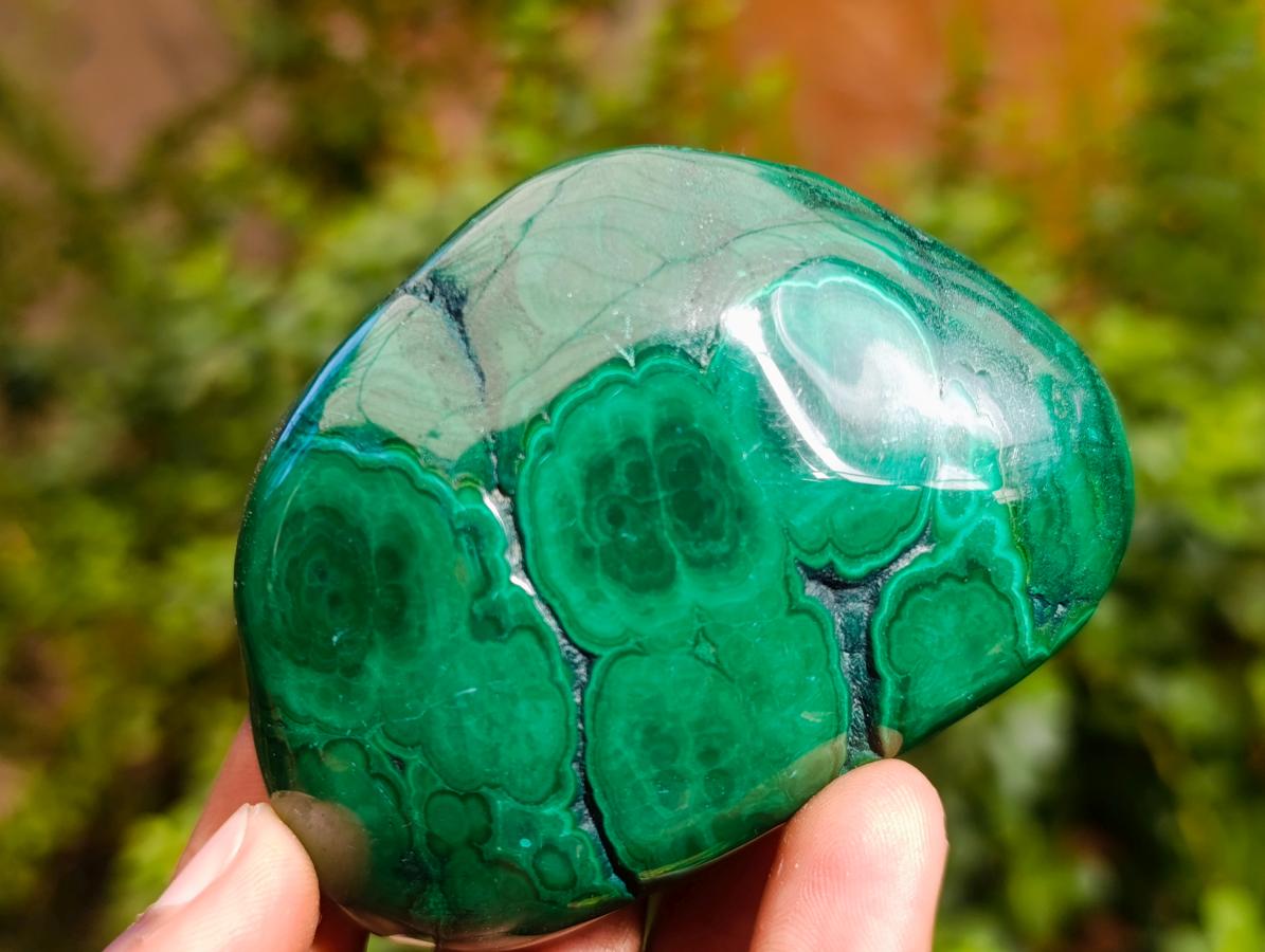 Polished Flower Banded Malachite Free Forms x 6 From Congo - Toprock Gemstones and Minerals 