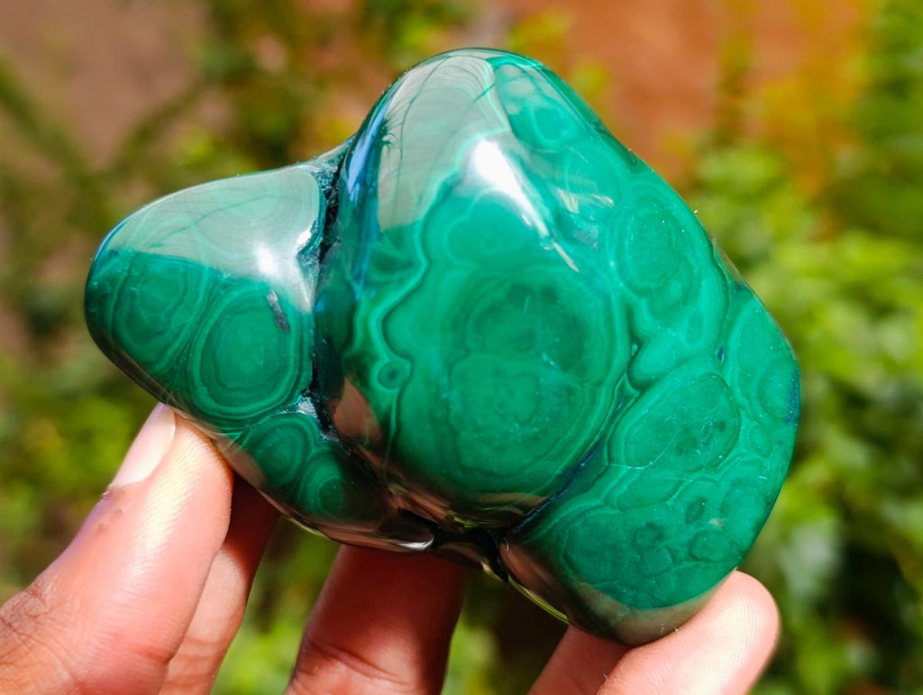 Polished Flower Banded Malachite Free Forms x 6 From Congo - Toprock Gemstones and Minerals 