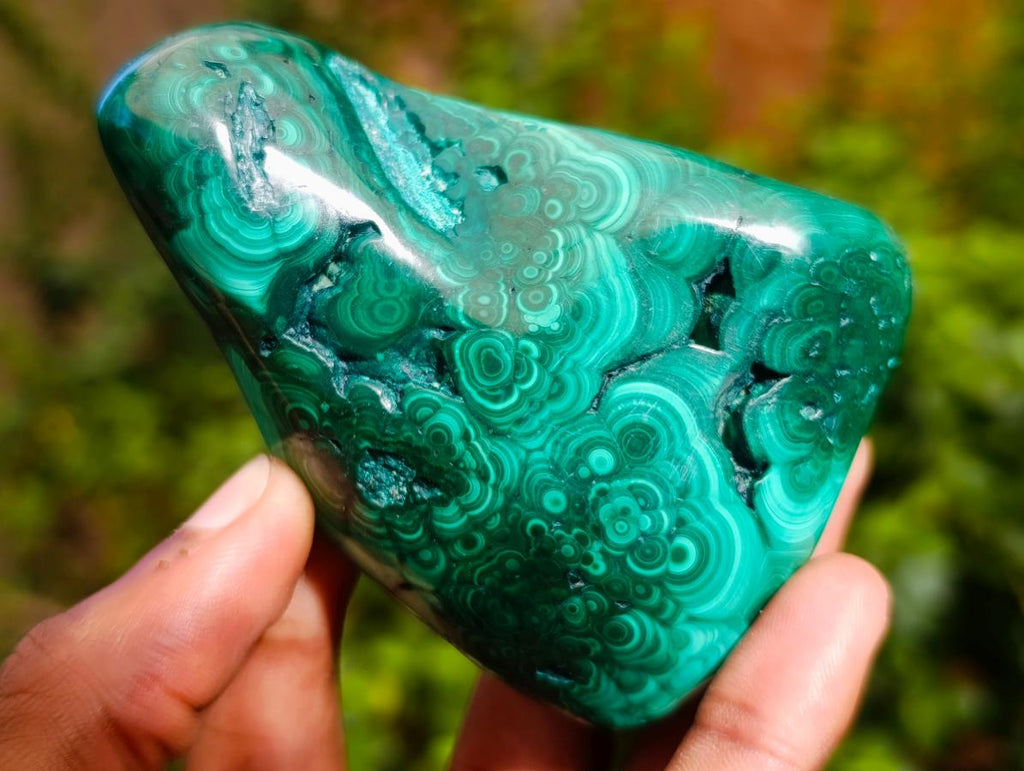 Polished Flower Banded Malachite Free Forms x 6 From Congo - Toprock Gemstones and Minerals 
