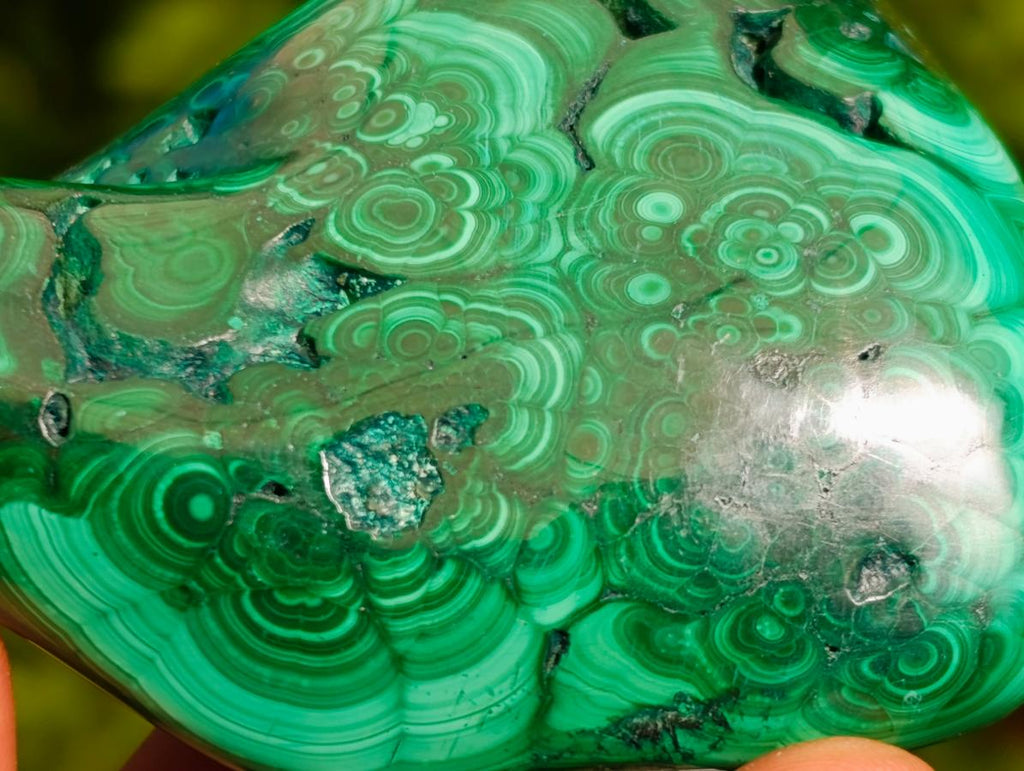 Polished Flower Banded Malachite Free Forms x 6 From Congo - Toprock Gemstones and Minerals 